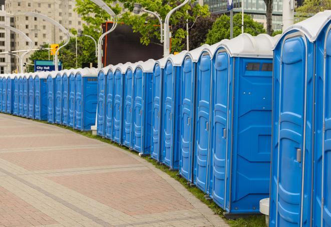 Seasonal porta potty units set up at a Kenosha, Wisconsin venue